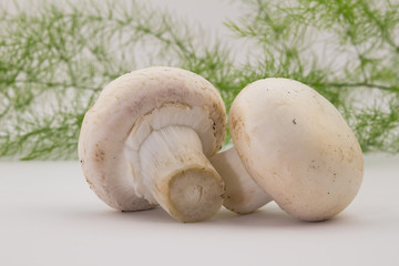 Two whole button mushrooms isolated on white with fern in backgr