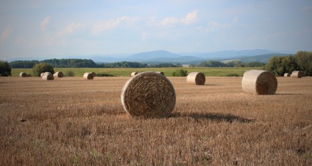 Fototapeta premium Bales of hay.