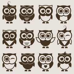 Brown Owl set