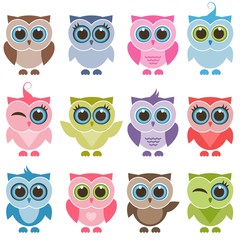 Funny owls and owlets set