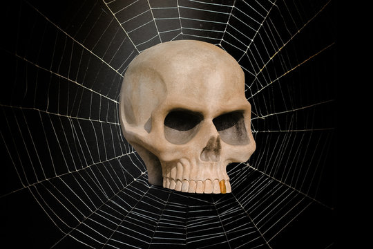 mort t&ecirc;te de mort cr&acirc;ne halloween peur &eacute;pouvante effrayant ha