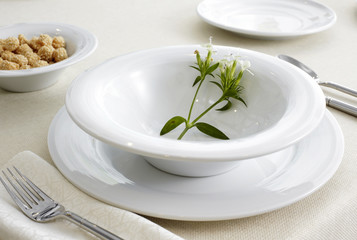 Ceramic tableware on the table