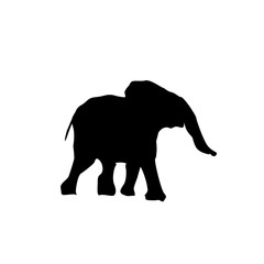 silhouette baby elephant