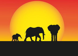 Fototapeta na wymiar landscape in africa with elephants family