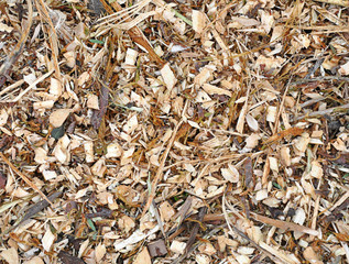 sawdust background