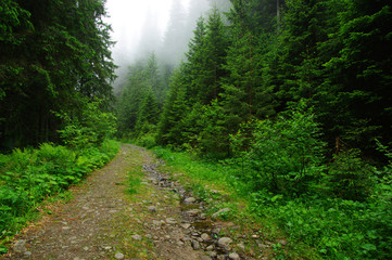 stone road in the mountains