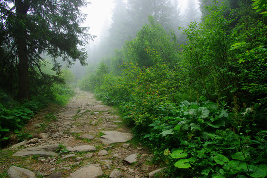 Fototapeta stone road in the mountains