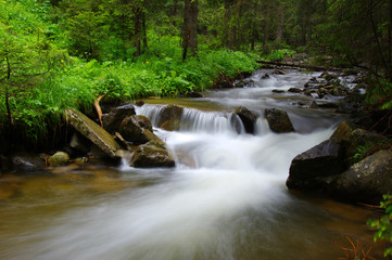 Obraz premium Mountain river in forest.