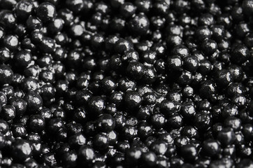 black caviar on a full background close-up. horizontal