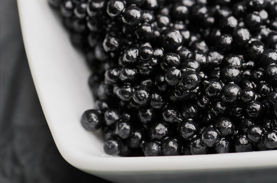 black caviar in the white ceramic bowl close-up on the dark back