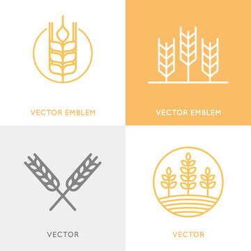 Vector set of logo design templates in trendy linear style