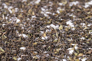 Organic Green Tea Darjeeling Sungma, shallow DOF