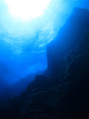 Naklejka na ściany i meble 海底から見上げた太陽輝く水面　沖縄慶良間諸島