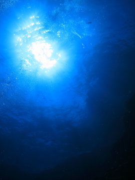 海底から見上げた太陽輝く水面　沖縄慶良間諸島