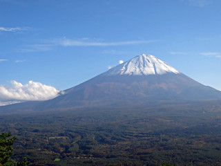 紅葉台から望む富士山と樹海