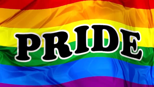 Colorful Gay Pride flag with black lettering pride.