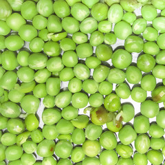 Green Peas and pea fruit the legume on white.