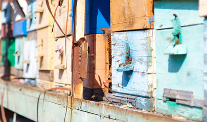 Улей и пчелы. Красочные улей и летающие пчелы на железном помосте.