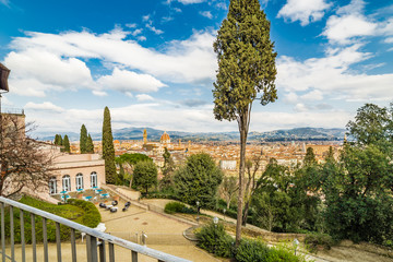 Fototapeta na wymiar the roofs of Florence from the park