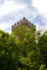 Castle's tower hidden in the woods
