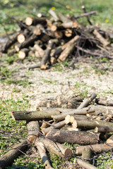 Pile of firewood in the yard