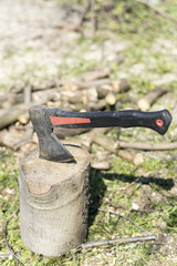 Axe in the log