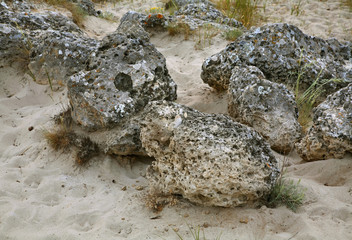 Pobiti Kamani - Stone forest near Varna. Bulgaria
