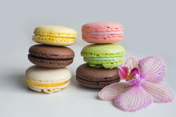 French macaroon