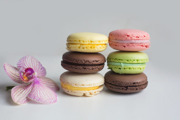 French macaroon