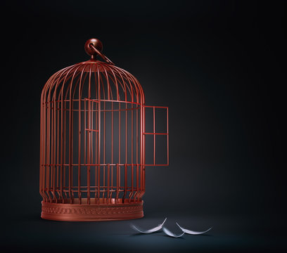 An open bird cage with feathers - freedom concept illustration