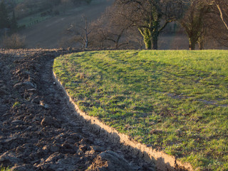 Acker und Wiese
