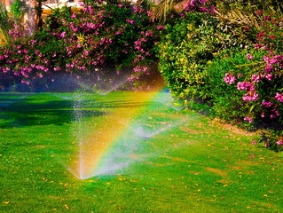Complete Sprinkler Repair & Irrigation in Orange County