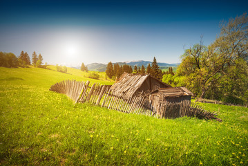 Fototapety na wymiar - Fototapeta24.pl