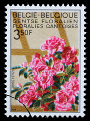 Stamp printed in Belgium from the Ghent Flower Show issue shows Azaleas, circa 1970.