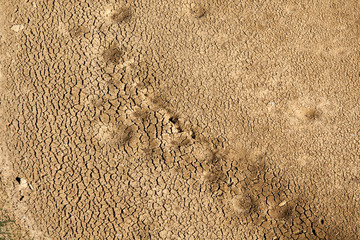 paisagem seca e árida, 