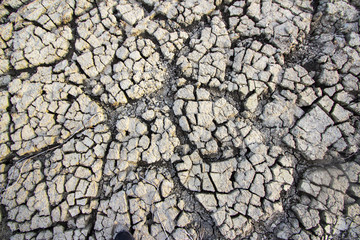 Dried and Cracked ground 