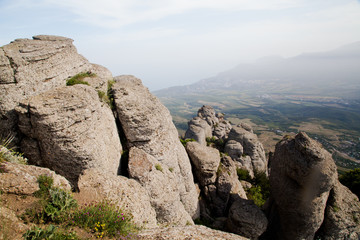 mountain view in summer