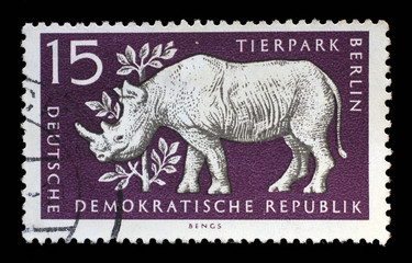 Stamp printed in GDR shows Rhinoceros, Berlin, German Zoological Garden, circa 1956