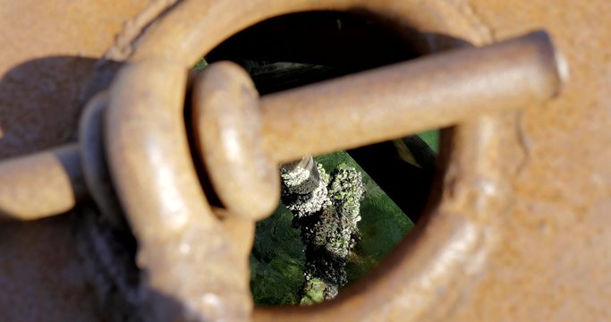 molluschi su pilone di un pontile visti attraverso una botola di metallo