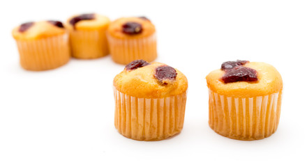 cupcake on a white background