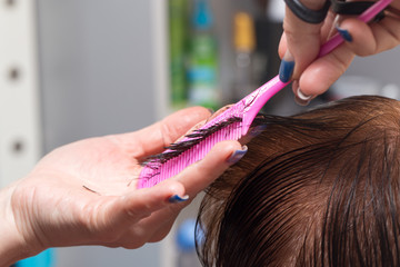 Fototapeta premium Female hair cutting scissors in a beauty salon