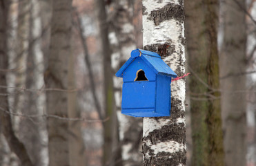 Скворечник для птиц в парке