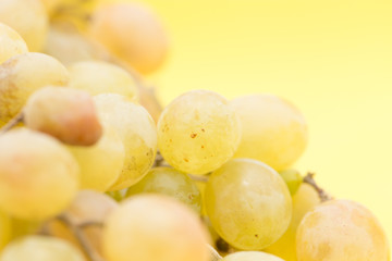 grapes on a yellow background