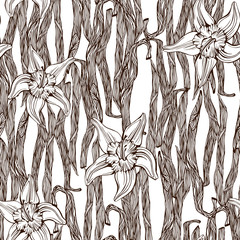 Seamless vector pattern with hand drawn vanilla sketch. Decorative vintage spice background.