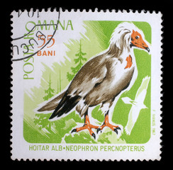 Stamp printed by Romania, shows Egyptian vulture, circa 1967