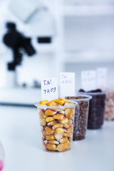 Chemical Laboratory of the Food supply . Food in laboratory, dna modify .