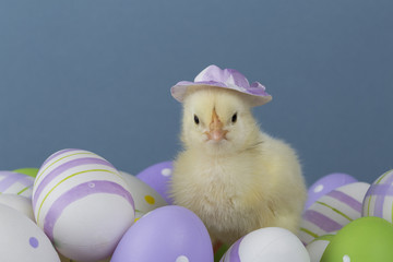 Chick with a hat