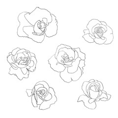 Flower line art set