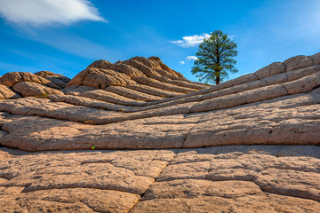 White Pocket, Arizona, USA