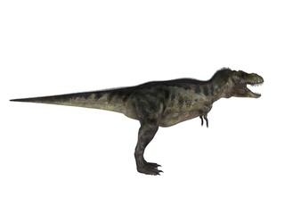 3d render of a Dinosaur inside a white stage